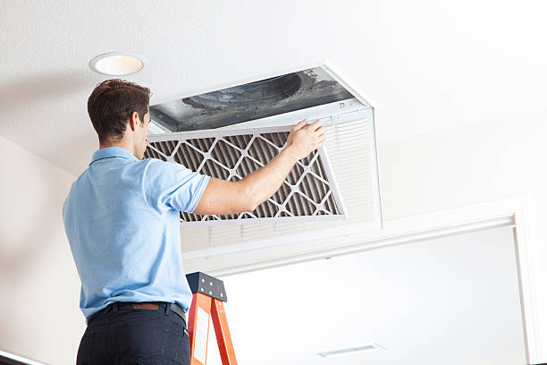 Best Energy-efficient HVAC Solutions in Eustis, FL